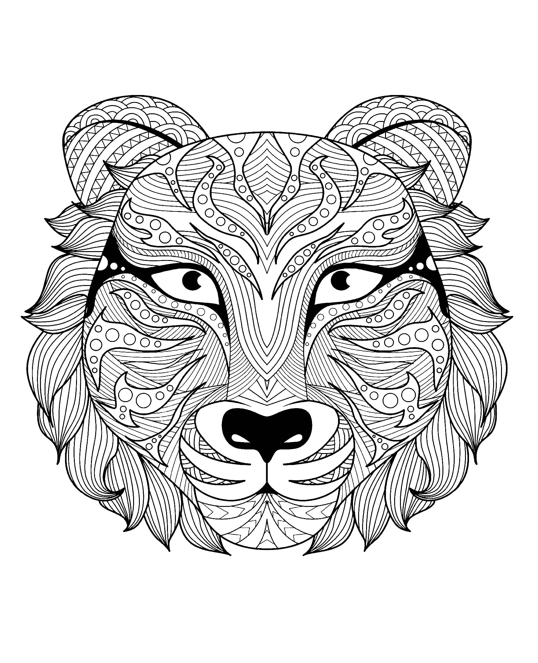 Tiger coloring page to download